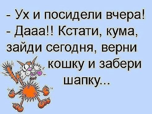 Ух и посидели вчера ДаааН Кстати кума зайди сегодня верни кошку и забери шапку
