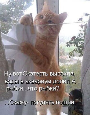 Ну вртСкатерть вь воднгв аквариум допип А Рыбки что рыбки Скажу п лять пошпи Ц