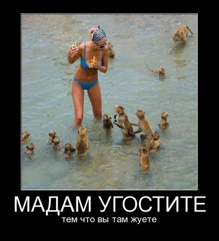 МАДАМ УГОСТИТЕ тем ЧТО ВЫ там жуете