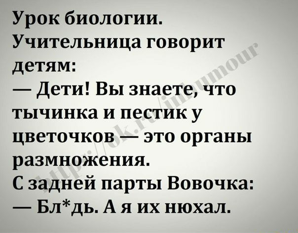 Урок биологии Учительница говорит детям Дети Вы знаете что ТЬ1ЧИНК8 И пестик у цветочков это органы размножения С задней парты Вовочка Блдь А я их нюхал