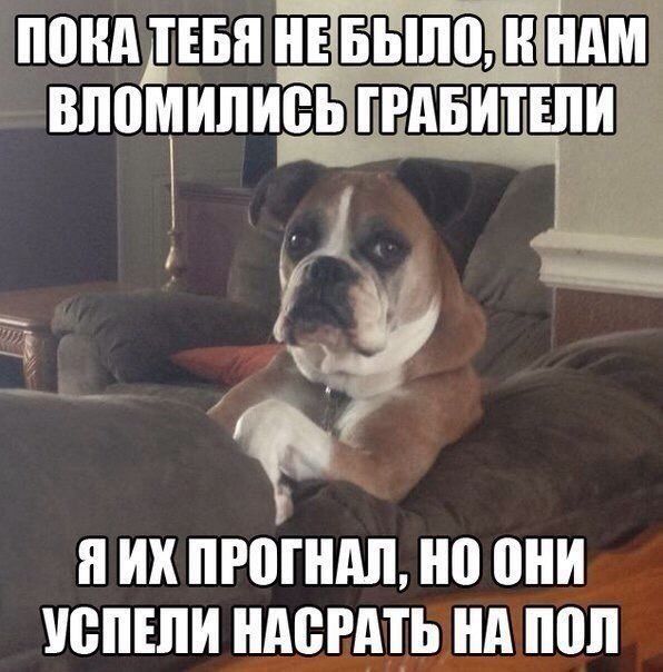 понд дпни ндм ВПВМИПИБЬГРАБИТШИ И ИХ ПРПППШ ШШ УВПШИ ПЕРМЬ нд ШШ