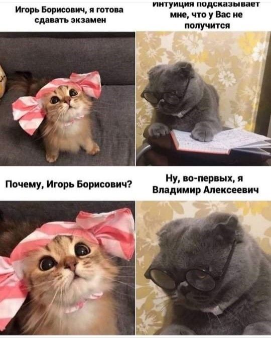 г подвигам кт им что у Ви папу апп Игорь Борисщч гот спцигь зип им пу м мр ых я Вп димир Алексеевич Почему Игорь Борисович