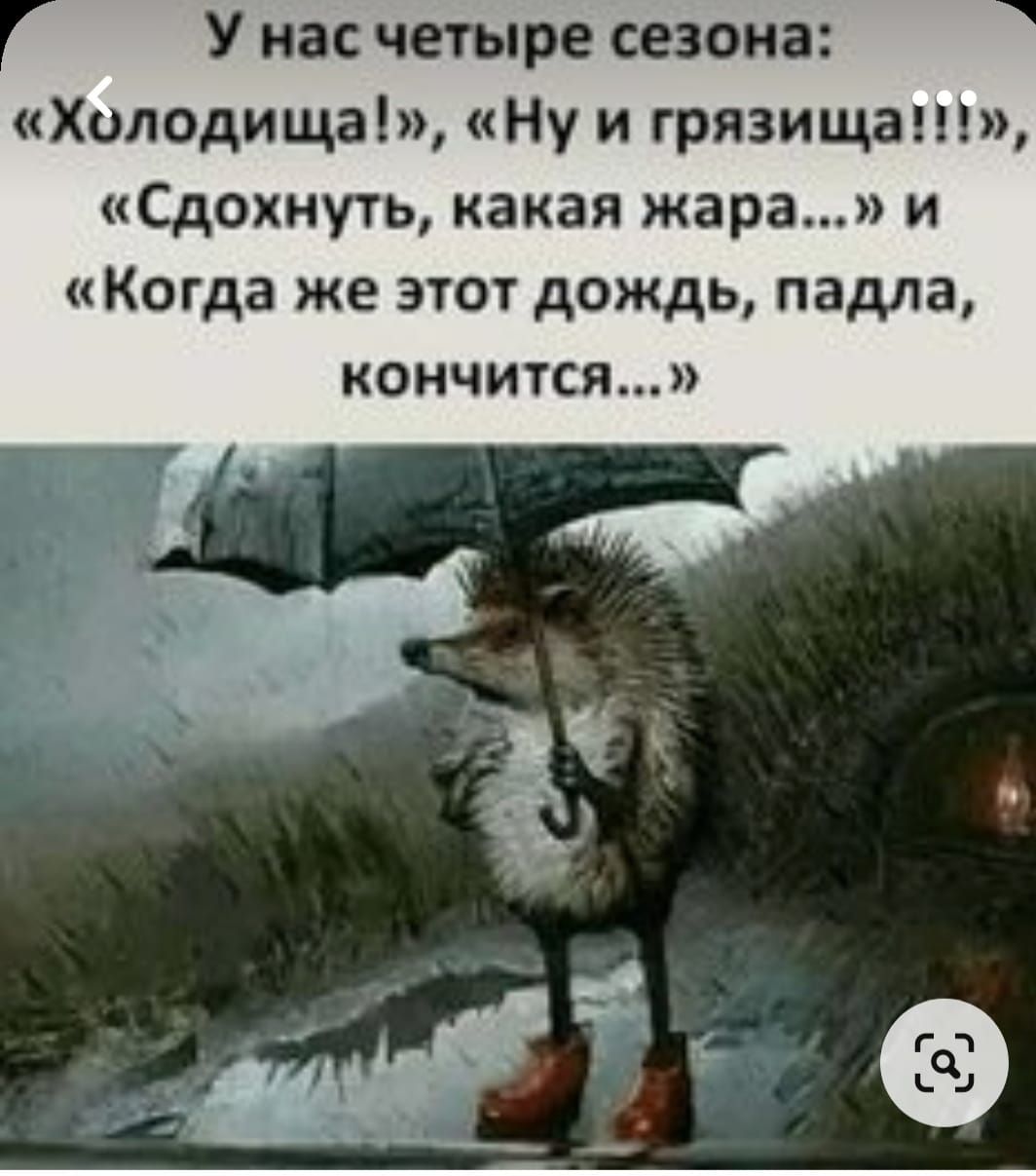 У нас четыре сезона Холодища Ну и грязищаш Сдохнуть какая жара и Когда же этот дождь падла кончится