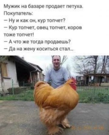 Мужик на базаре продает петуха Покупают Ну и как он кур юпчеу кур юпче овец юпчеъ коров юже опчеч А что же типа продэешь7 да ИВ ЕМУ КОСИЬСЯ СТЭП