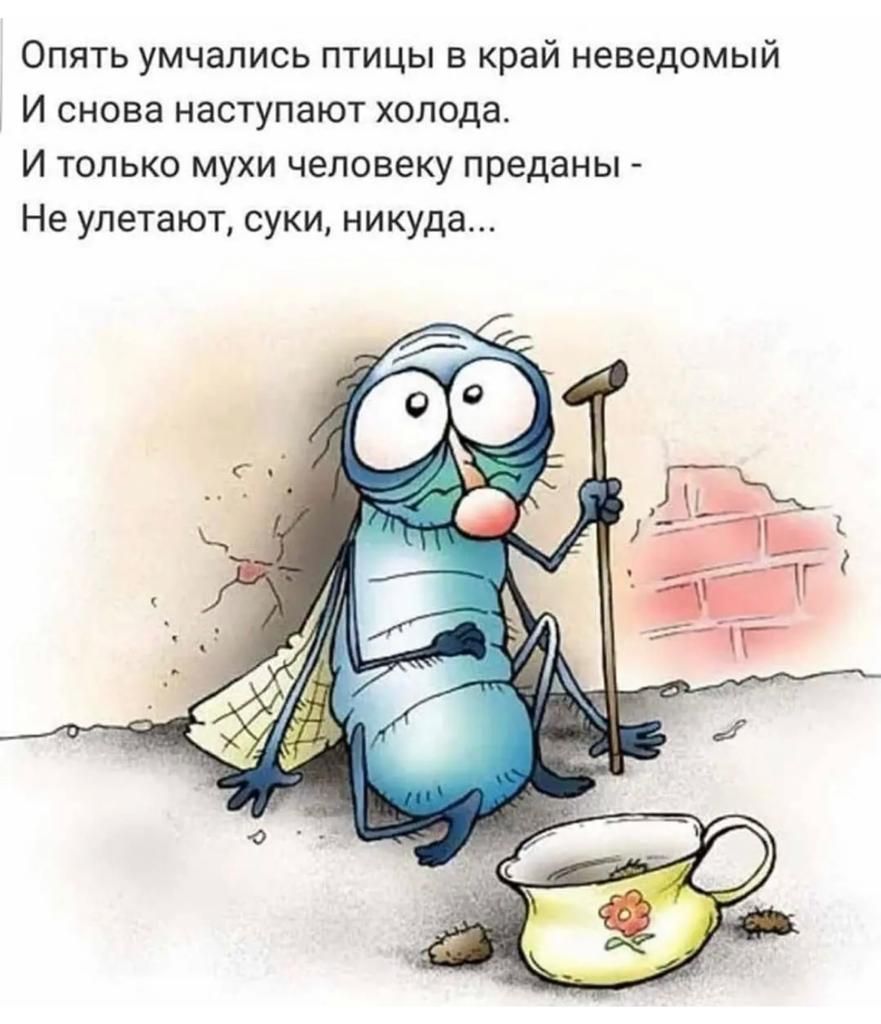 Опять умчапись птицы в край неведомый И снова наступают холода И только мухи человеку преданы Не улетают суки никуда
