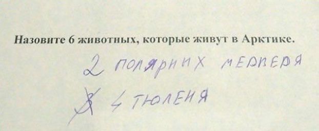 Нло т животных котор и Арт 08 год мёдЧЕЛ подрЯ