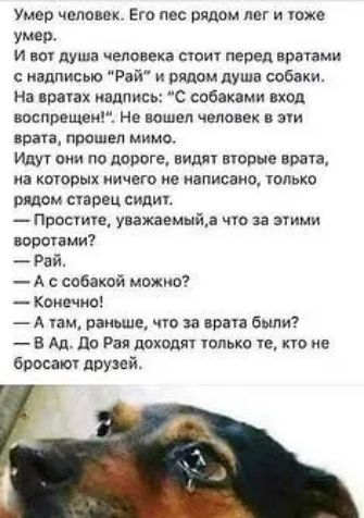 Умер человек Его пас рядом лег и тхе умер и вот душа человека сюит перед вратами с надписью Рай и рядом душа собаки На вратах надпись С собаками вход воспрещен не вошел человек в эіи врата прошел мимо Иду они по дороге видит торые врага на которых иичего не написано гопько рядом старец сидит Просчиге уважаемый что за эуими ворогами Рай А с собакой можно Конечно А уам раньше что за врата были В Ад 