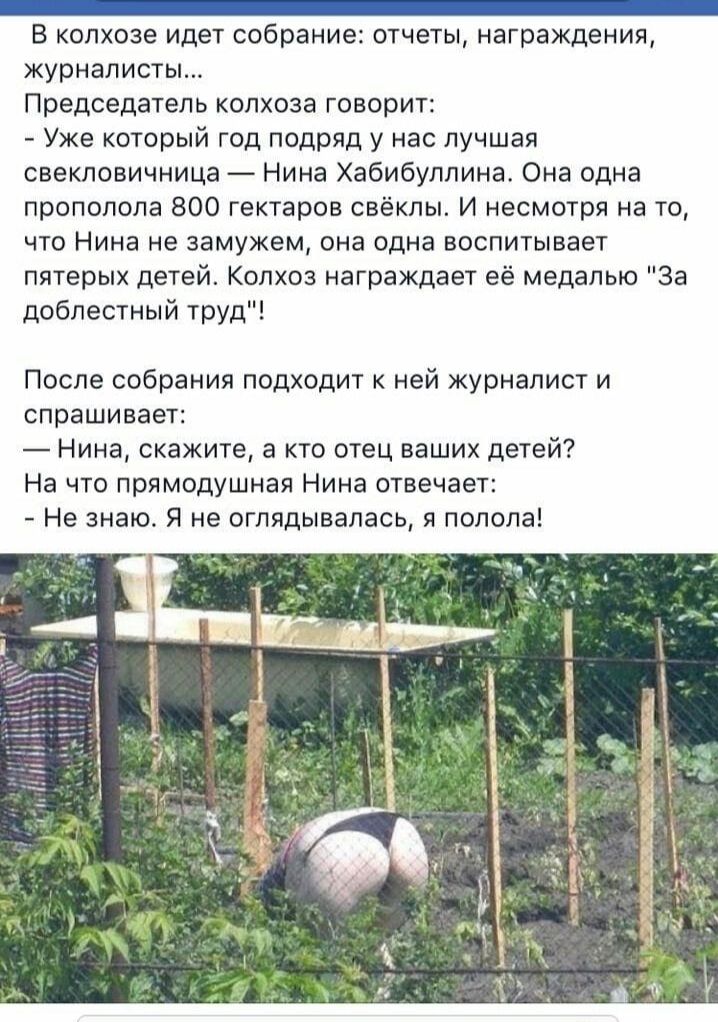 _ в колхозе идет собрание тчеты награждения журналисты Председатель кдлхоза говорит Уже который год подряд у нас лучшая свекловичница Нина Хабибуллина Она одна пропопапа 300 гектаров свёкпы и несмотря на то что Нина не замужем она одна воспитывает пятерых детей Колхоз награждает её медалью За доблестный труд После собрания подходит ней журналист и спрашивает Нина скажите а кто отец ваших детей На 