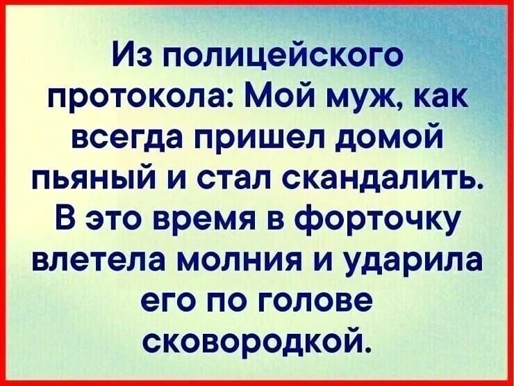 Из полицейско о протокола Мой муж ка всегда пришел домой пьяный и стал скандалить В это время в форточку влетела молния и ударила его по голове сковородкой
