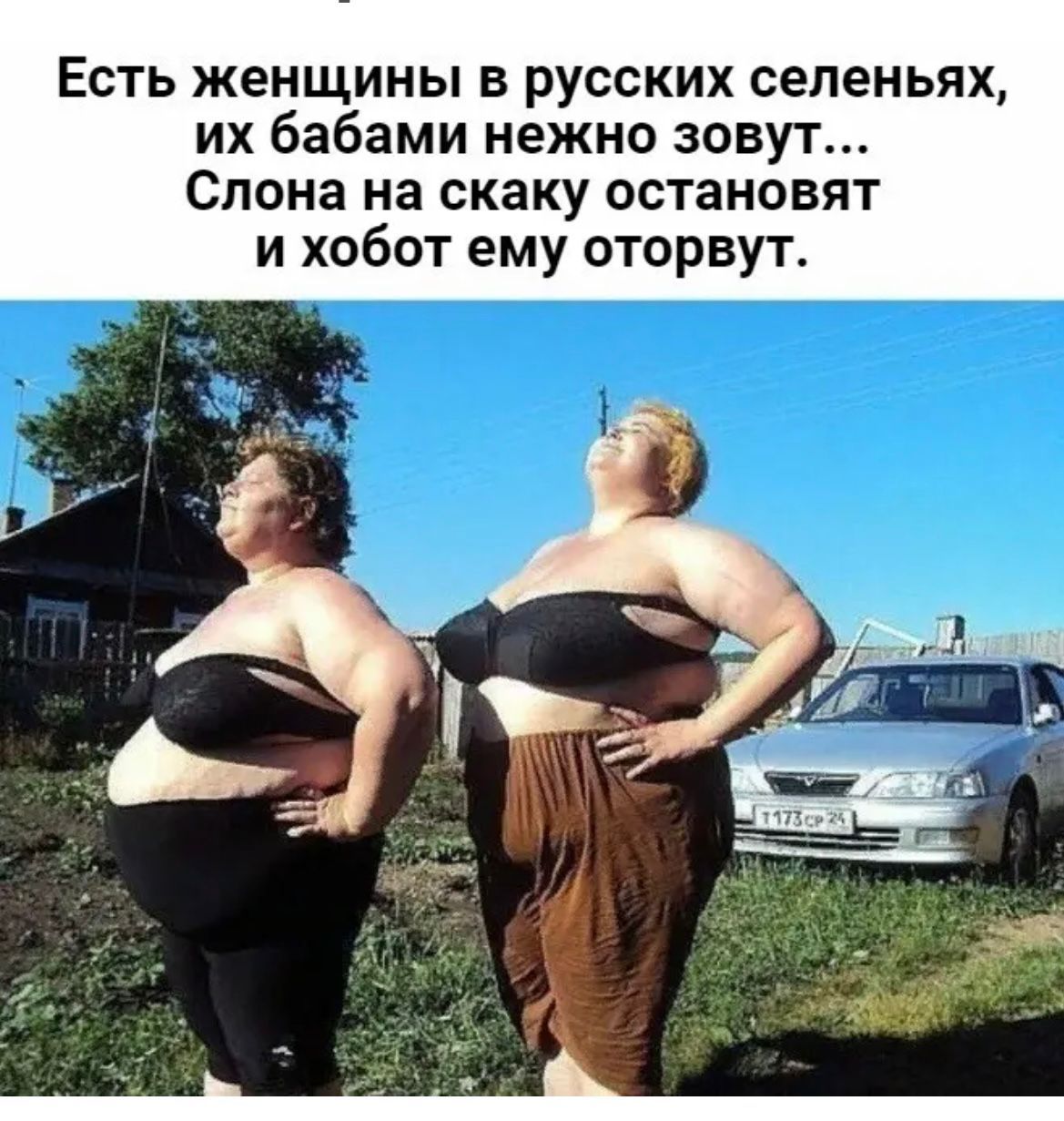 Есть женщины в русских селеньях их бабами нежно зовут Слона на скаку остановят и хобот ему оторвут