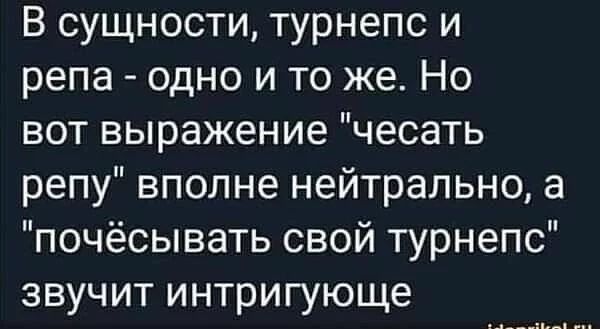 В сущности турнепс и репа одно и то же Но вот выражение чесать репу вполне нейтрально а почёсывать свой турнепс звучит интригующе