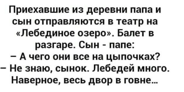 Приехавшие из деревни папа и сын отправляются в театр на Лебединое озером Балет в разгаре Сын папе А чего они все на цыпочках Не знаю сынок Лебедей много Наверное весь двор в говне