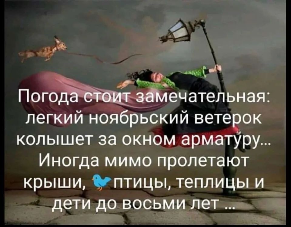 к 5 Е оаЗ иа Пого ечательная легкий ноябрьский ветерок колышет за окном арматуру Иногда мимо пролетают крыши птицы теплицы и дети до восьми лета