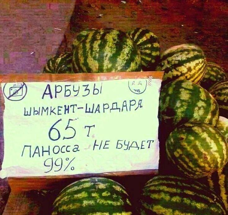 АРБУЗЫ ШЫМКЕНТ-ШАРДАРЯ 65 Т. ПАНОССА - НЕ БУДЕТ 99%