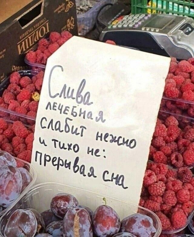 Слива лечебная слабит нежно и тихо не: прерывая сна