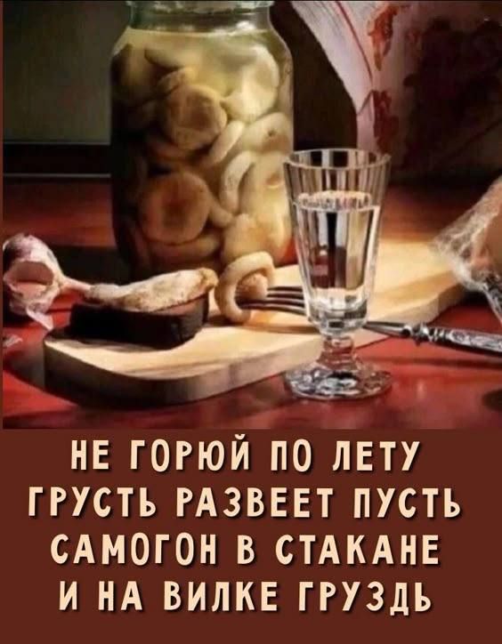 НЕ ГОРЮЙ ПО ЛЕТУ ГРУСТЬ РАЗВЕЕТ ПУСТЬ САМОГОН В СТАКАНЕ И НА ВИЛКЕ ГРУЗДЬ