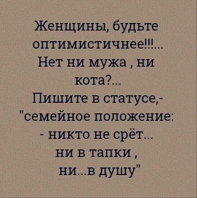 Женщины будьте оптимистичнее Нет ни мужа ни кота Пишите в статусе семейное положение никто не срёт ни в тапки нив душу