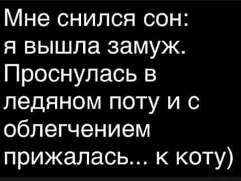 Мне снился сон я вышла замуж Проснулась в ледяном поту и с облегчением прижалась к коту
