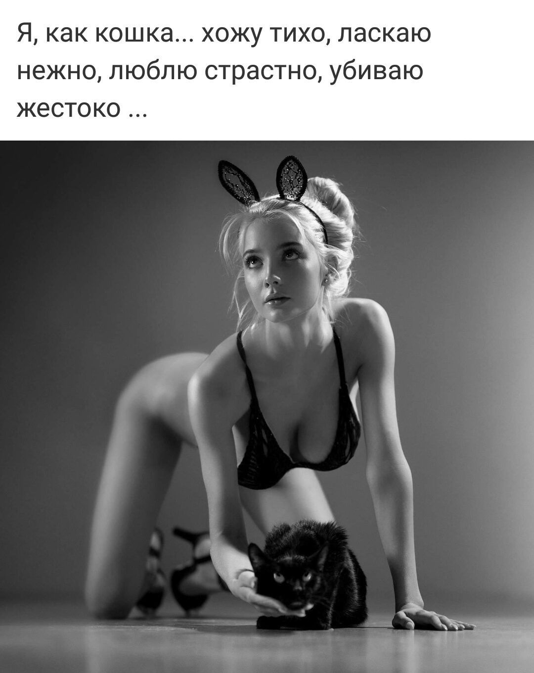 Я как кошка хожу тихо ласкаю нежно люблю страстно убиваю жестоко