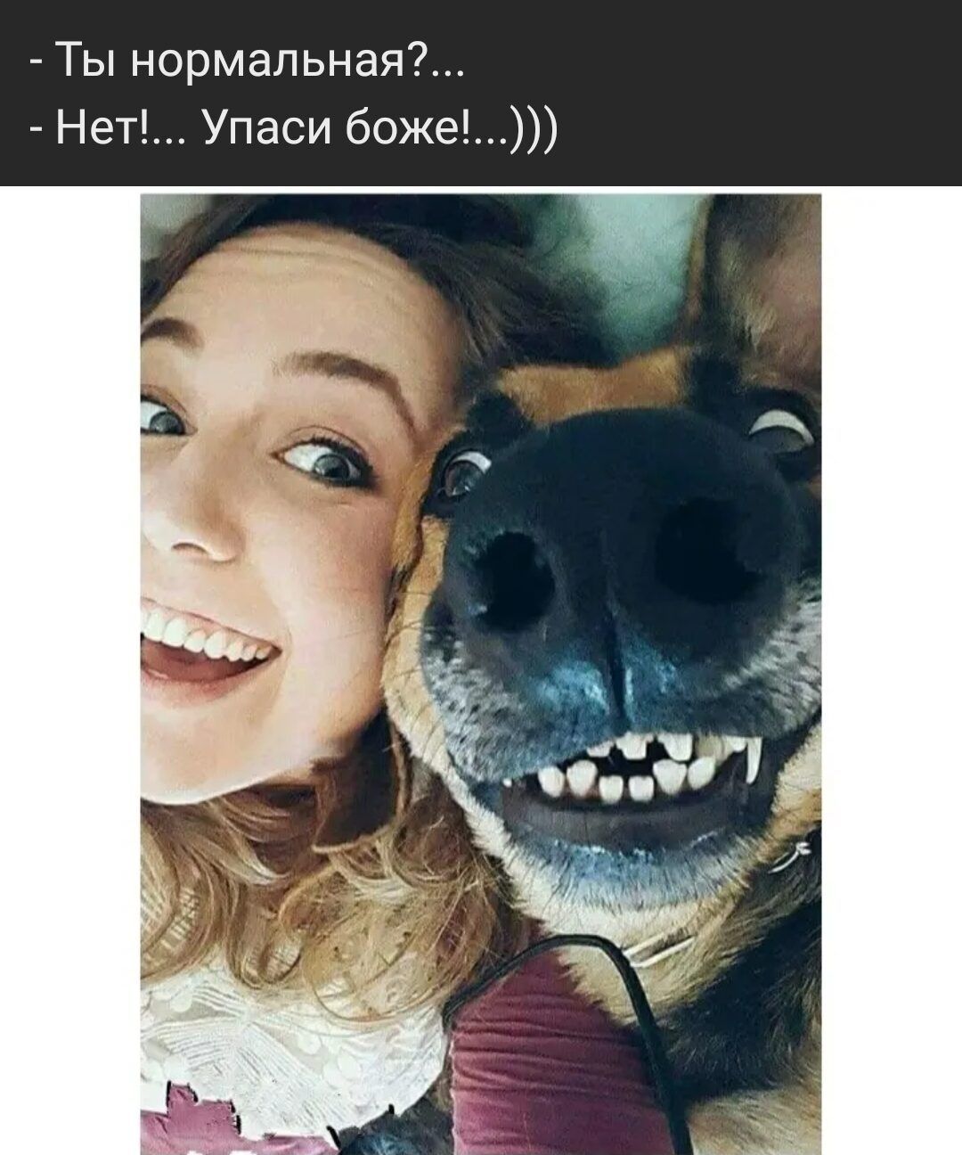 Ты нормальная Нет Упаси боже
