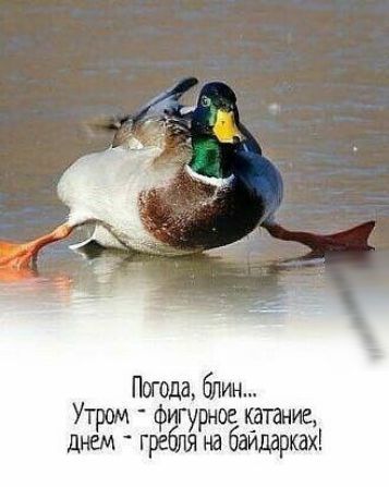 Погода блин Утром фггурное такие днем гре ля на баидарках