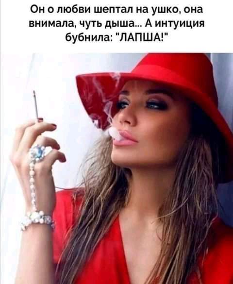 Он о любви шептал на ушко она виимапа чугь дыша А интуиция бубнила ЛАПША