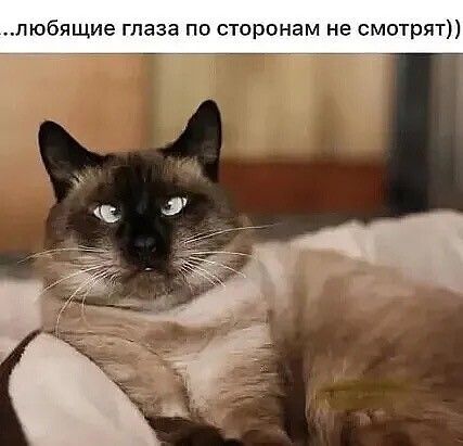 любящие глаза по сторонам не смотрят