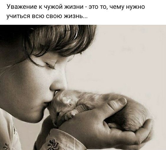 Уважение к чужой жизни это то чему нужно УЧИТЬСЯ ЕСЮ СВОЮ ЖИЗНЬ