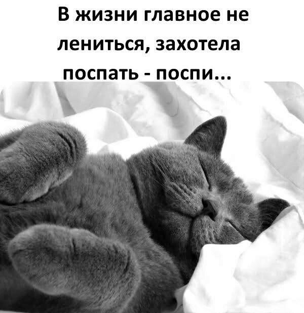 В жизни главное не лениться захотела ПОСПЭТЬ ПОСПИ