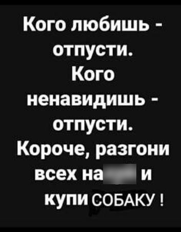 Кого любишь отпусти Кого ненавидишь отпусти Короче разгони всех на и купи СОБАКУ