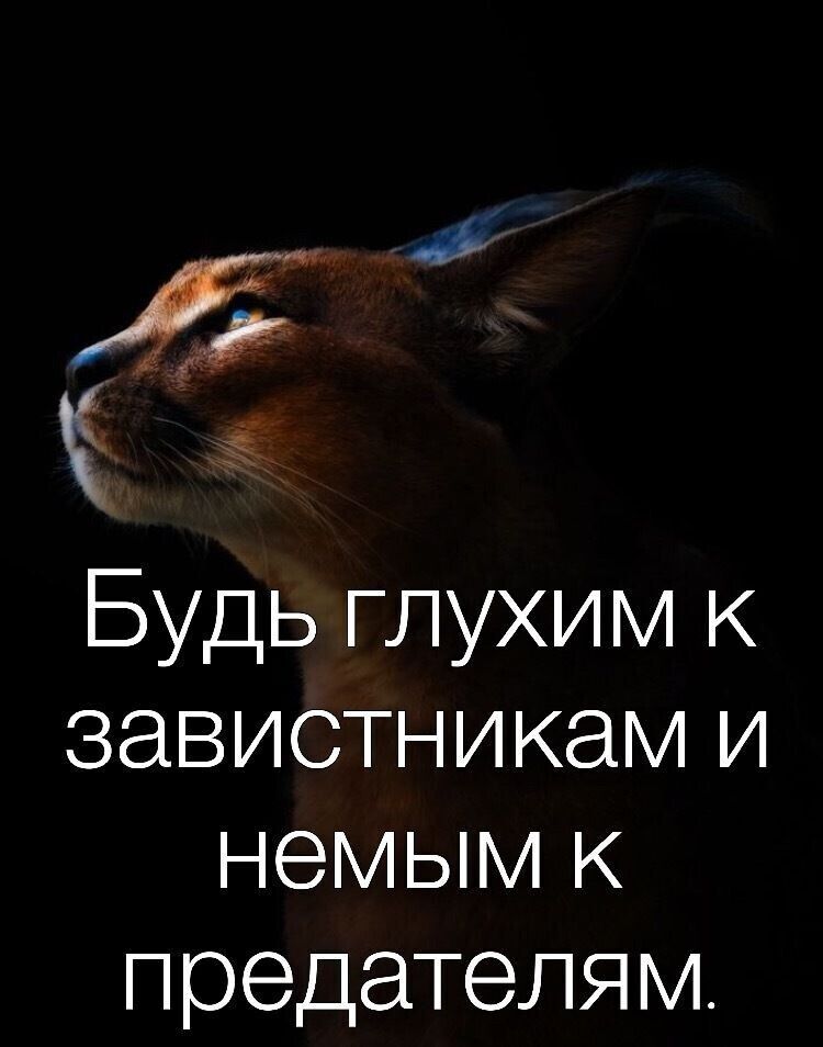 Будь глухим к завистникам и немым к предателям