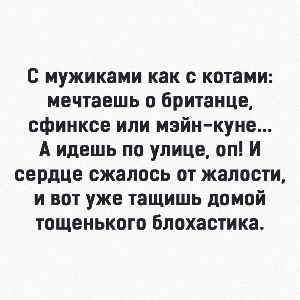 с мужиками как с котами мечтаешь о британце сфинксе или мэйн куне А идешь по улице оп И сеРдце сжалось от жалости и вот уже тащишь домой тощенького блохастика