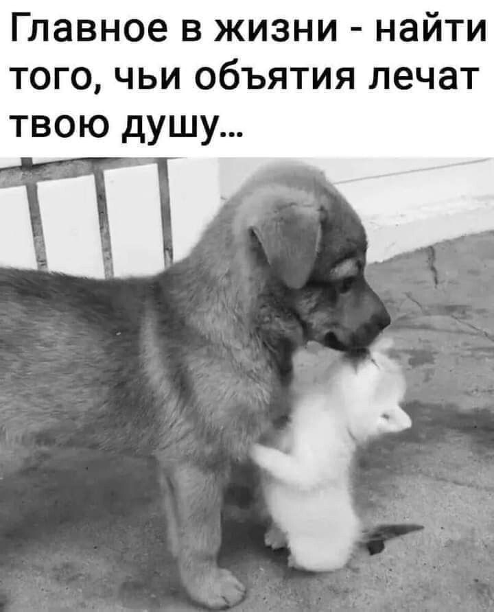 Главное в жизни найти того чьи объятия лечат твою душу