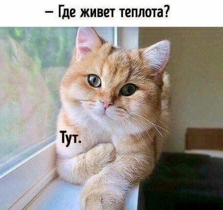 Где живет теплота и