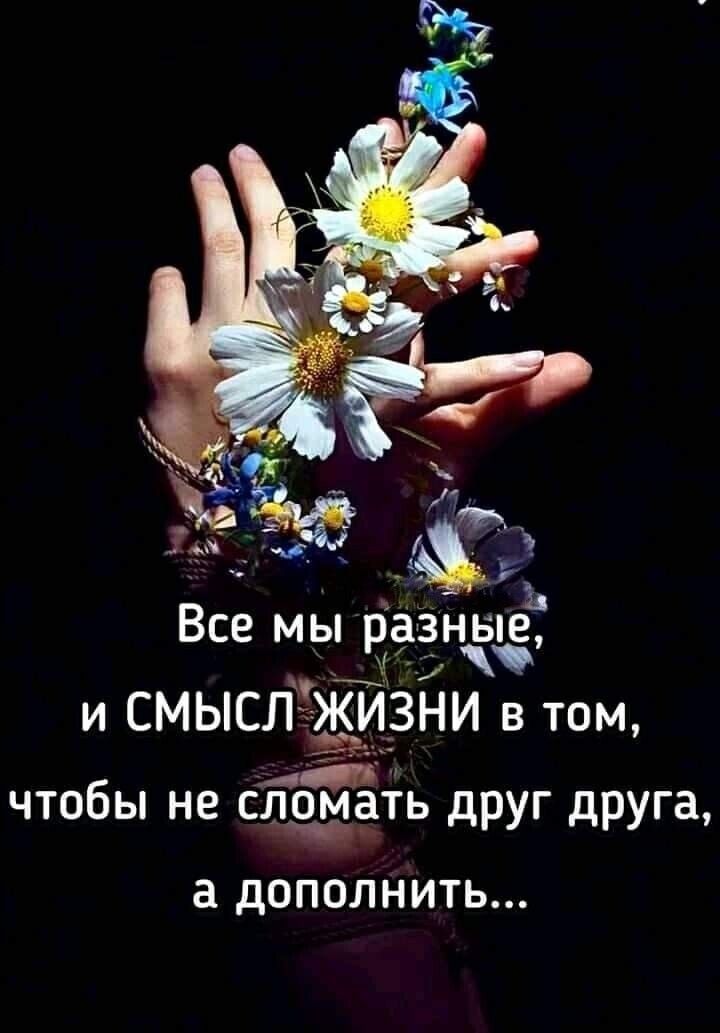 Все мы раёнвіеь и смысл Жизни в том чтобы не Слом ать друг друга а дополнить