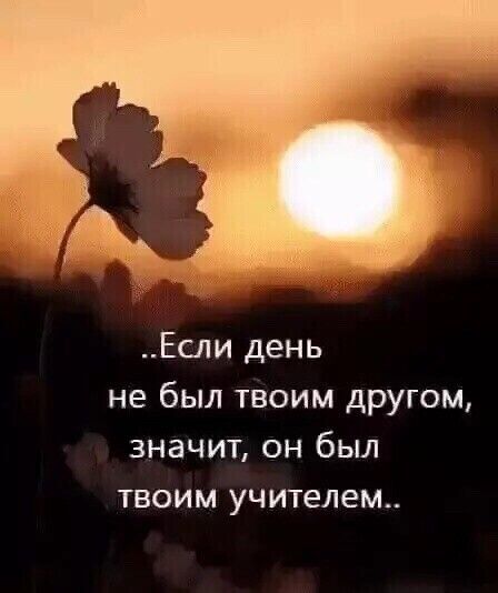 Если день не был твоим другом значит он был твоим учителем