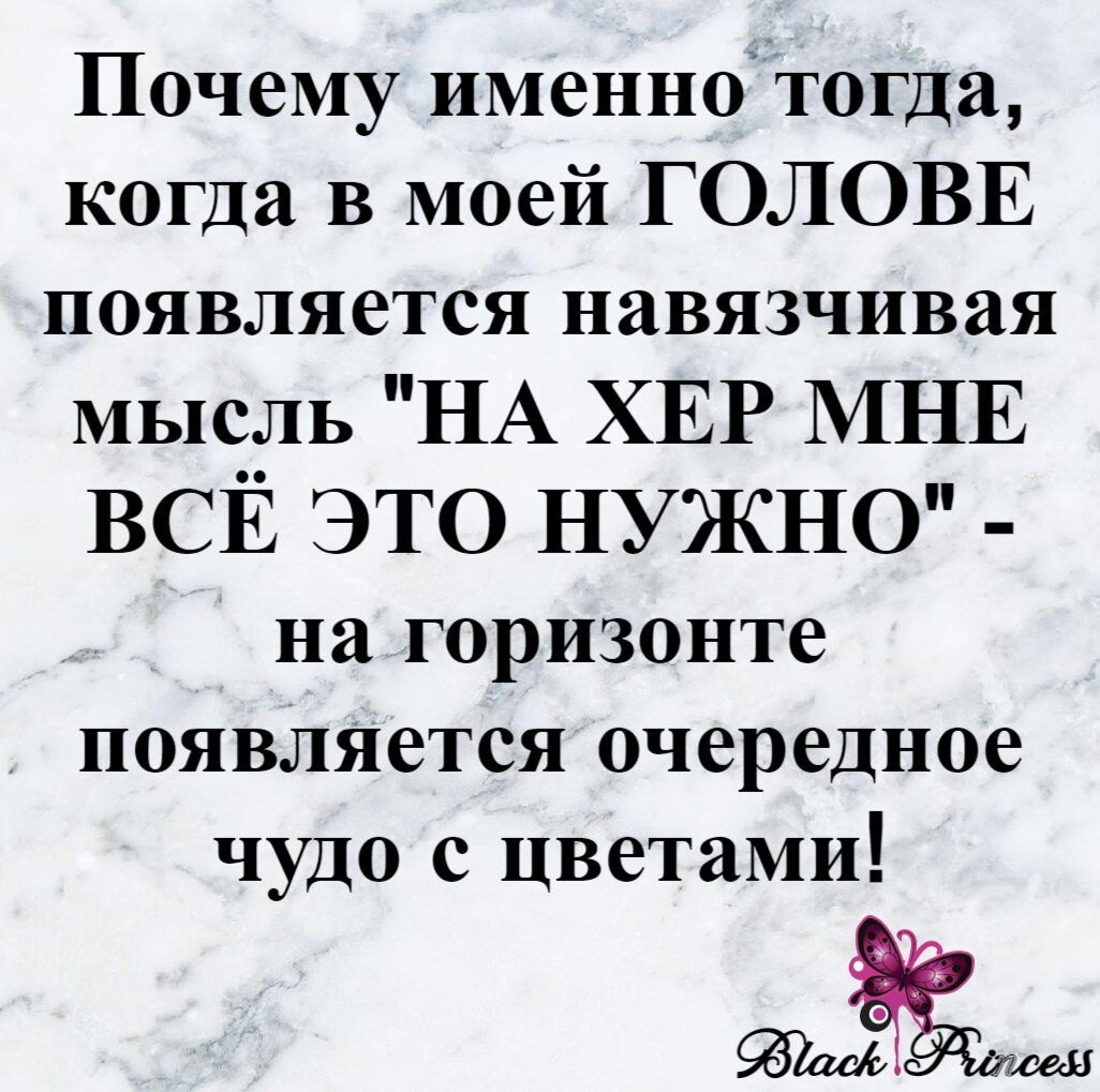 Почему именнотогда когда в моей ГОЛОВЕ появляется навязчивая мысль НА ХЕР МНЕ ВСЁ это нужно на горизонте появляется очередное чудо с цветами