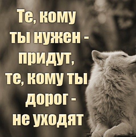 ч Юному тьдншнен пид _ те кому ты __ допог не уходят