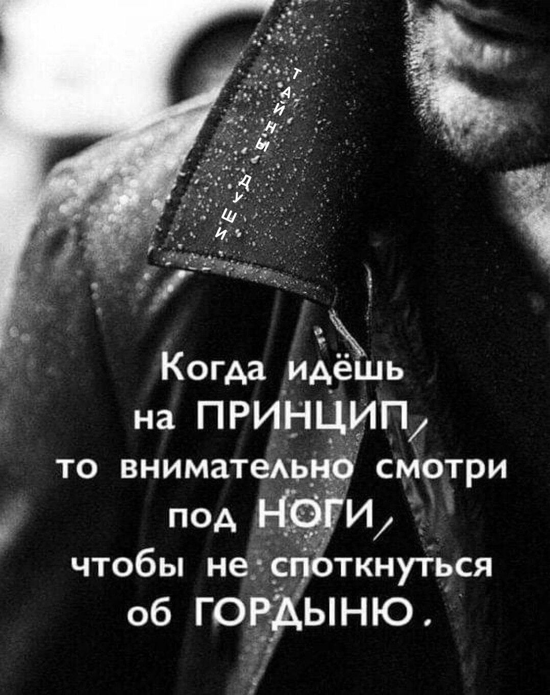 ьдд цы Р Когда идешь на ПРИНЦИП то внимательно сМотри псд БИ чтобы не спбткнуться об ГОРДЫНЮ _