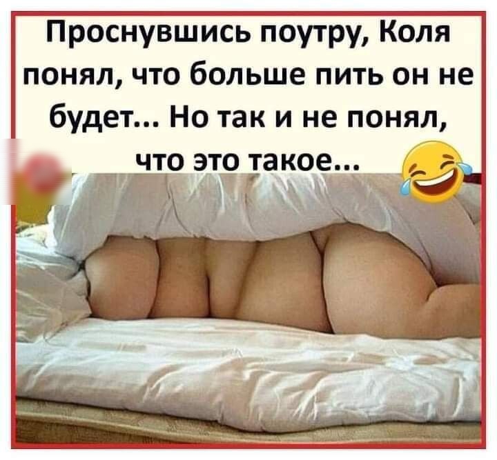 Проснувшись поутру Коля понял что больше пить он не будет Но так и не понял