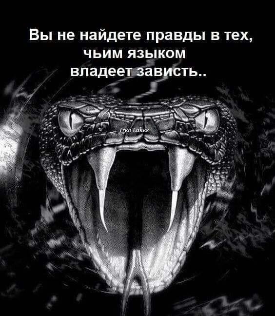 Вы не найдете правды в тех чьим язьдгпком владеётёёиёть