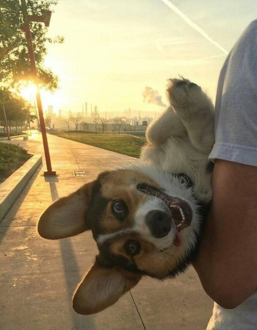 Ф