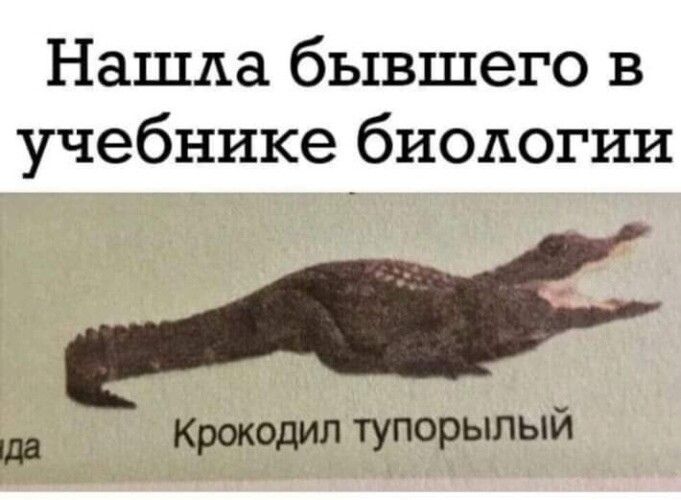 Нашла бывшего в учебнике биологии да Крокодил тупорылый