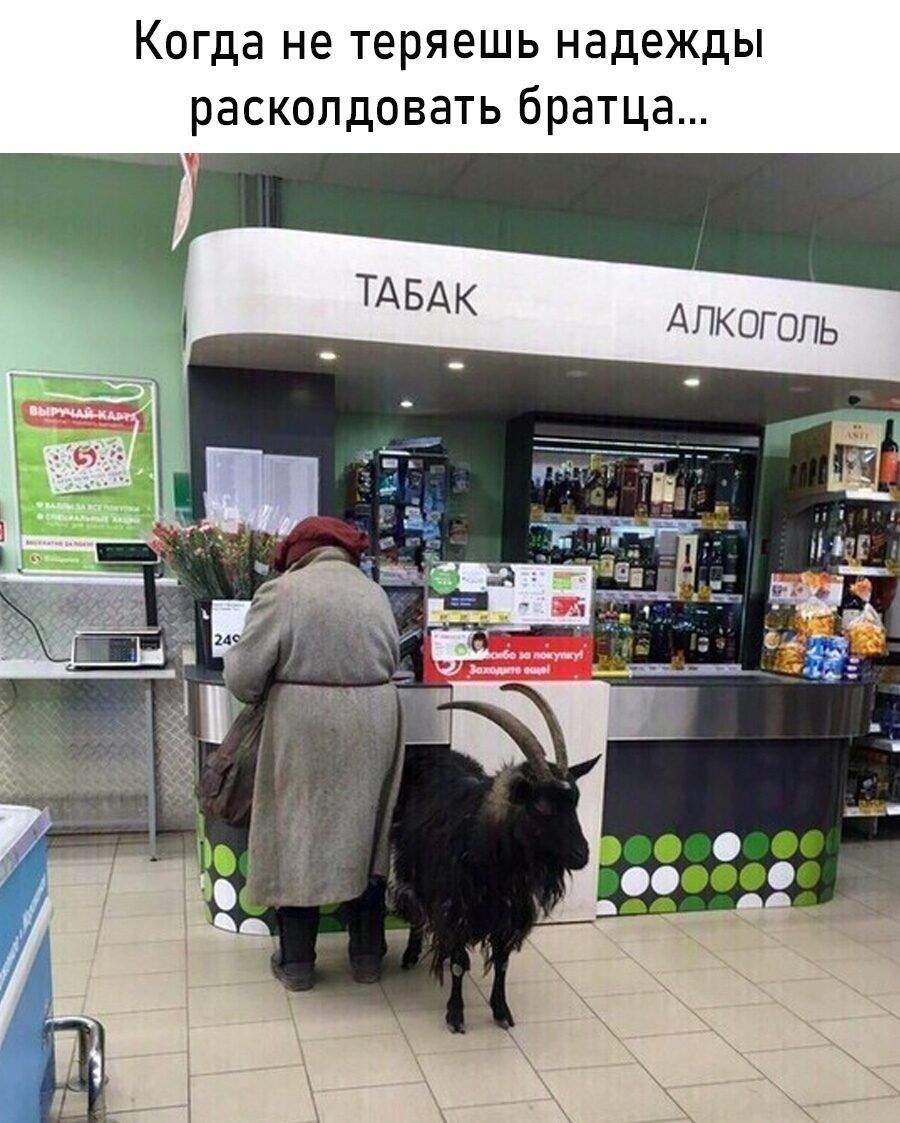 Когда не теряешь надежды расколдовать братца