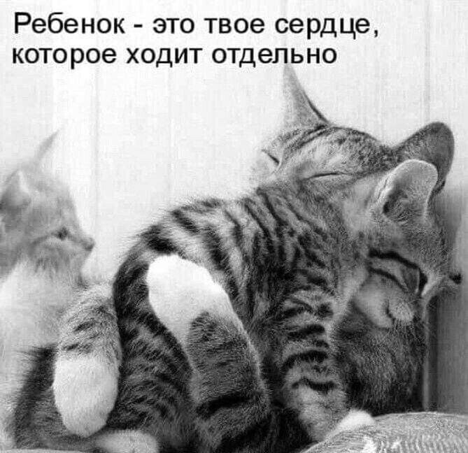 Ребенок это твое сердце которое ходит отдельно