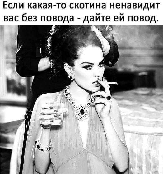 ЕСЛИ какаято СКОТИНЗ НЕНЭВИДИТ нас без повода дайте ей повод