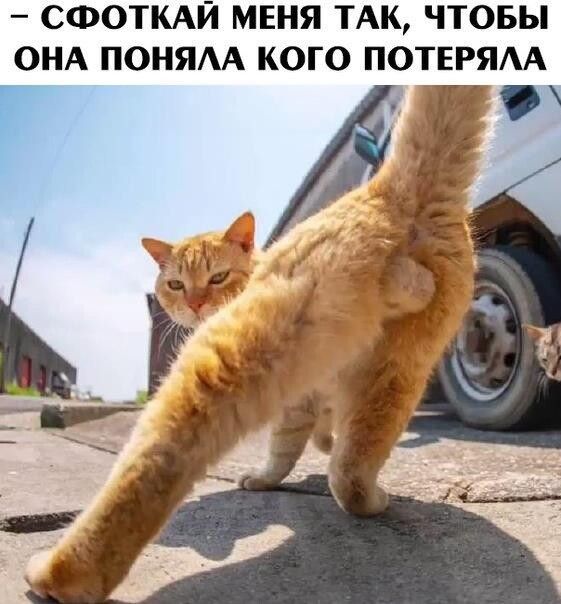 СФОТКАЙ МЕНЯ ТАК ЧТОБЫ ОНА ПОНЯАА КОГО ПОТЕРЯА Г