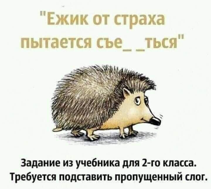 Ежик от страха пытается съе_ _ться Задание из учебника для 2 го класса Требуется подставить пропущенный слот