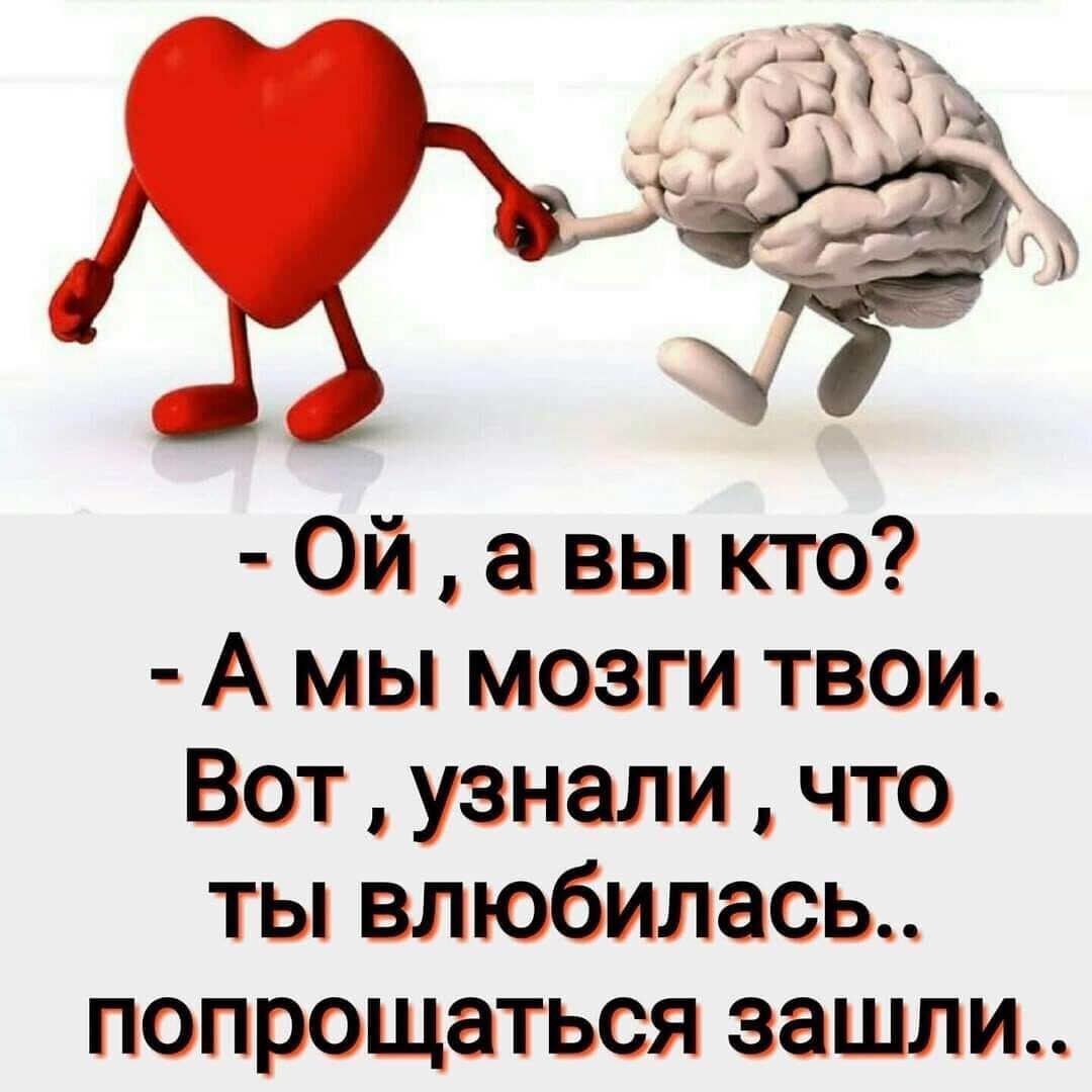 Ой а вы кто А мы мозги твои Вот узнали что ты влюбилась ПОПРОЩЭТЬСЯ зашли
