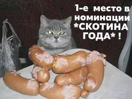 1 е место номинаци СКОТИН